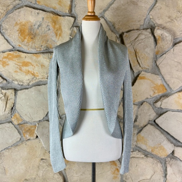 Ralph Lauren Black Label Sweaters - Ralph Lauren Black Label Cocoon Cardigan Sweater Silver Metallic | S